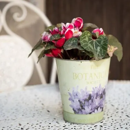 ベッド・アンド・ブレックファスト Casa Di Nonna Pina A Vigo *